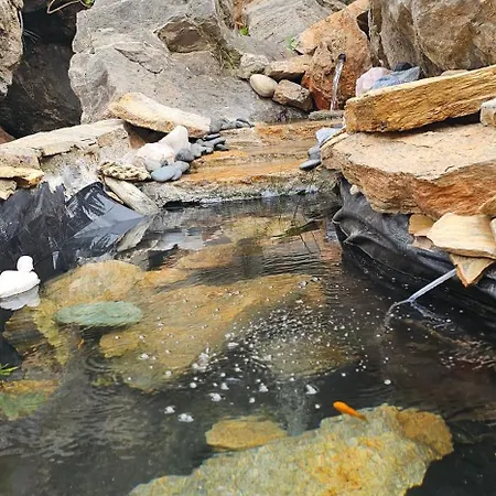 La Fuente De Vida * Turre